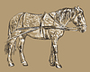 Vector clipart: harness horse