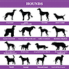 Silhouetten von Hunden | Stock Vektrografik