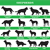 Vector clipart: shepherds silhouettes