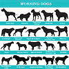 Vector clipart: working dogs silhouettes