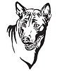 Decorative portrait of Thai Ridgeback Dog