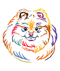 Vector clipart: Colorful decorative portrait of Pomeranian Dog