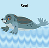 cartoon seal