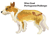 Векторный клипарт: Цветной декоративный стоящий портрет Wire Coat