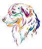 Colorful decorative portrait of Australian
