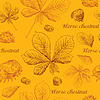 Vector clipart: Seamless pattern autumn 