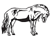 standing horse 