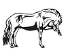 standing horse 