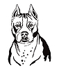Decorative portrait of American Staffordshire