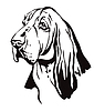 Dekoratives Porträt von Basset Hound | Stock Vektrografik