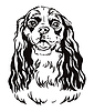 Retrato decorativo del Cavalier King Charles Spanie | Ilustración vectorial
