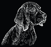 Black Beagle hand drawing portrait