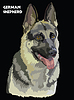 German Shepherd colorful portrait