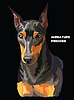 Miniature Pinscher colorful portrait