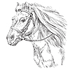 Vector clipart: Horse portrait 21