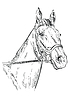 Vector clipart: Horse portrait 22
