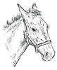 Vector clipart: Horse portrait 26