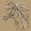 Vector clipart: Horse portrait brown 21