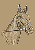 Vector clipart: Horse portrait brown 21