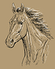 Vector clipart: Horse portrait brown 23