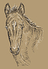 Vector clipart: Horse portrait brown 28