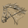 Vector clipart: Horse portrait brown 30