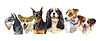 Small dog breeds | Stock Vector Graphics