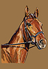 Hand drawing horse portrait 22