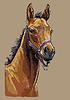 Vector clipart: Hand drawing horse portrait 24