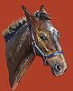 Hand drawing horse portrait 26