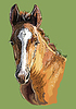 Vector clipart: Hand drawing horse portrait 29