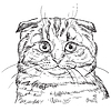 Vector clipart: hand drawing cat 