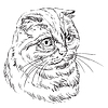 Vector clipart: hand drawing cat 