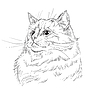 Vector clipart: hand drawing cat 10