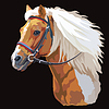 Vector clipart: Colorful horse portrait 21
