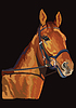 Vector clipart: Colorful horse portrait 22