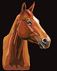 Vector clipart: Colorful horse portrait 25