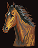 Vector clipart: Colorful horse portrait 23