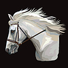 Vector clipart: Colorful horse portrait 30