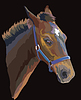 Vector clipart: Colorful horse portrait 26