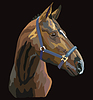 Vector clipart: Colorful horse portrait 27