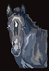 Vector clipart: Colorful horse portrait 28