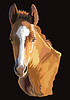 Vector clipart: Colorful horse portrait 29