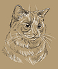 Brown cat portrait  | Stock Vector Graphics