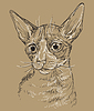 Brown cat portrait  | Stock Vector Graphics