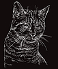 ID 6962366 | Черная кошка портрет | Векторный клипарт ID 6962366 | Черная кошка портрет | Векторный клипарт | CLIPARTO