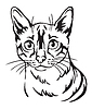 Decorative portrait of Cat  | Stock Vector Graphics