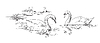 Vector clipart: hand drawing swans