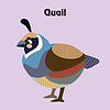 cartoon quail