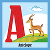 Vector clipart: Animal alphabet A